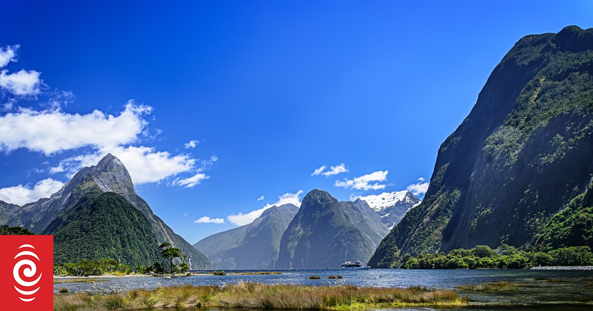 Marine heatwave: Fiordland set to reach record sea temperature