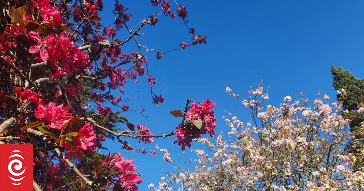 Spring scorcher: Where the sun shone and the rain fell - Vimarsana News