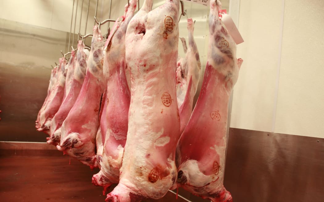 Lamb carcasses in the refrigerator of a slaughterhouse