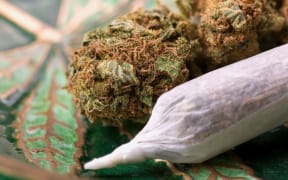 closeup of dried marijuana and handmade cigarette in ashtray