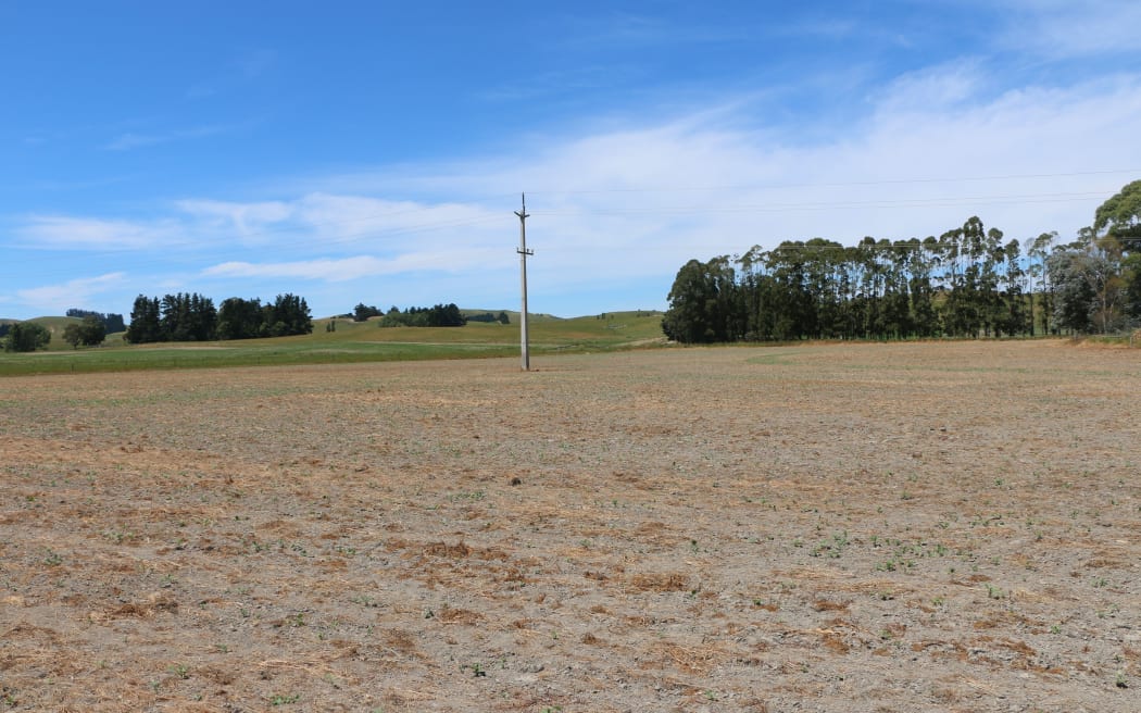 Un champ à Cheviot, dans la région de Hurunui, est complètement sec.