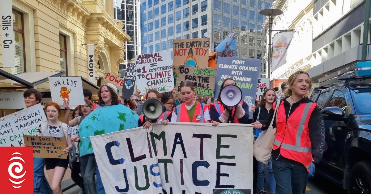 In photos: Hundreds of climate advocates march to parliament | RNZ News