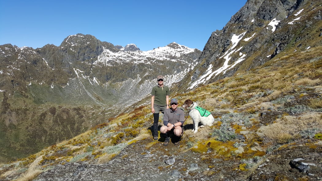 DOC rangers Nichollette Brown and Glen Greaves with takahē detector dog, Yuki, at the head of Takahē Valley in Fiordland's Murchison Mountains.
