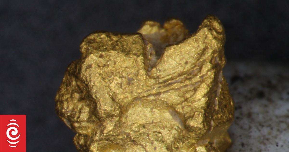 Australijscy entuzjaści poszukiwań złota odkryli ogromny samorodek
