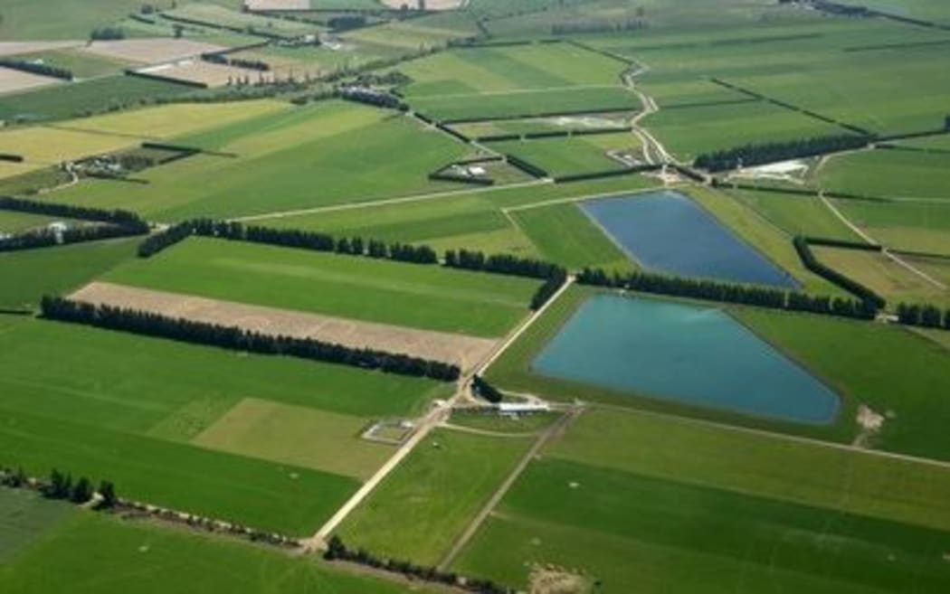 Foreign Buyer Moves Likely To Sink Farm Values Rnz News