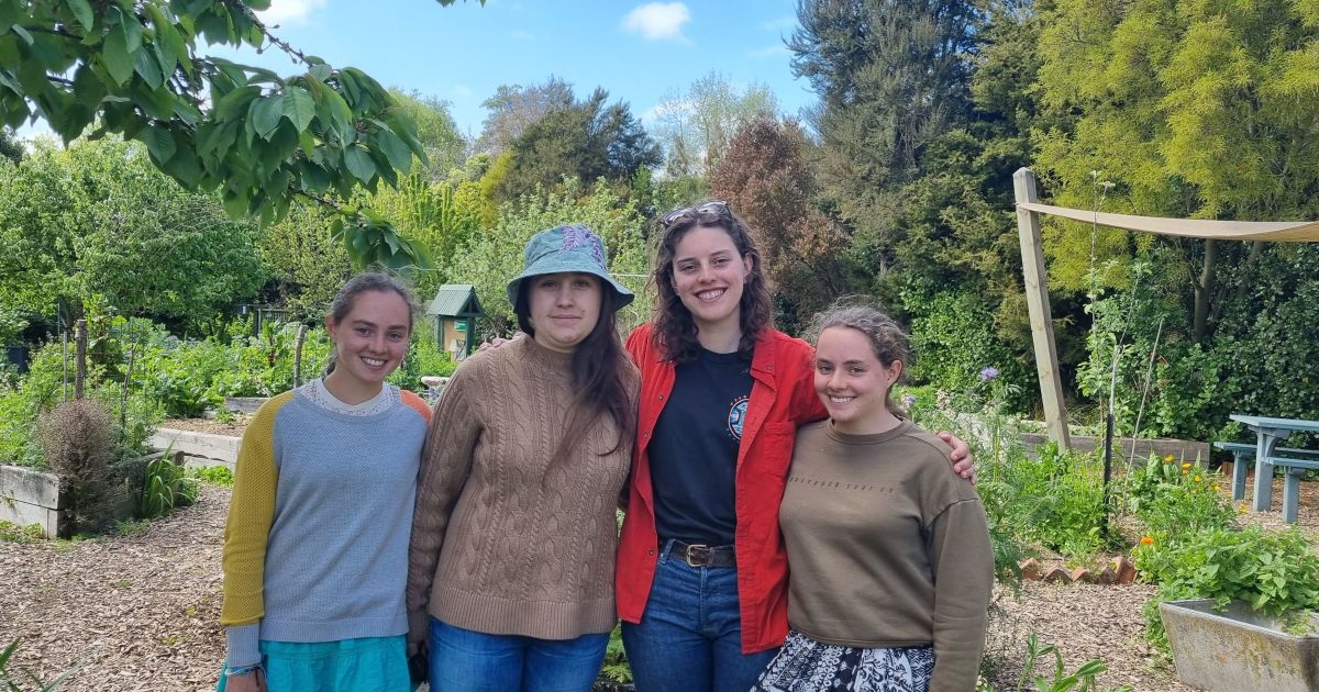 Celebrations as student gardeners dig chance to bypass high vege prices