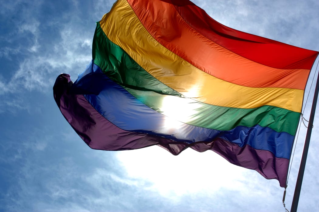 LGBT rainbow flag (file photo)