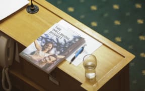 The 2019 budget in the debating chamber