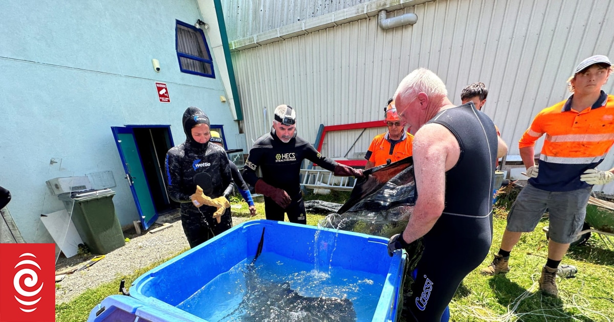 Port Marlborough and team of specialist staff rehome all EcoWorld animals