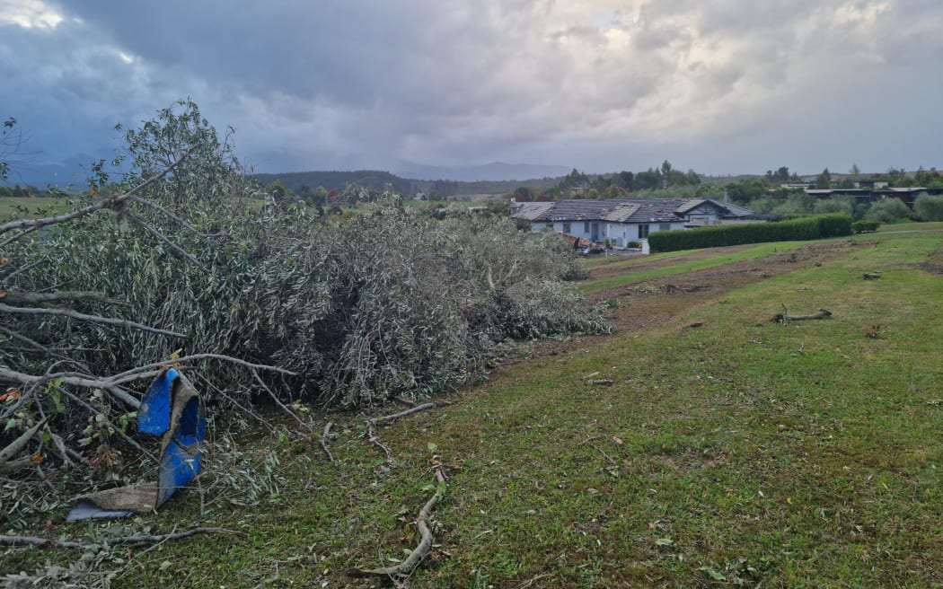Trees have fallen over in Petra Way, Tasman after a tornado that tore through the upper South Island on 10 April, 2023.