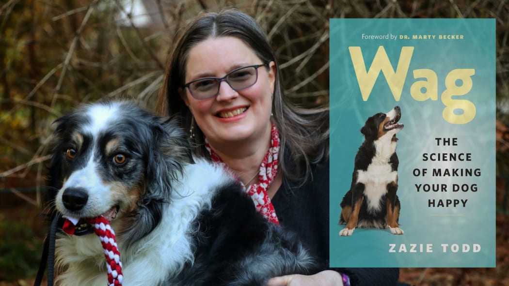 Composite image of animal behaviour expert Zazie Todd sitting with her dog overlayed with the cover of her book "Wag: The Science of Making your Dog Happy