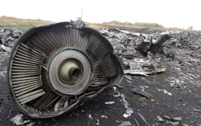 Malaysia Airlines Flight MH17 crash site.