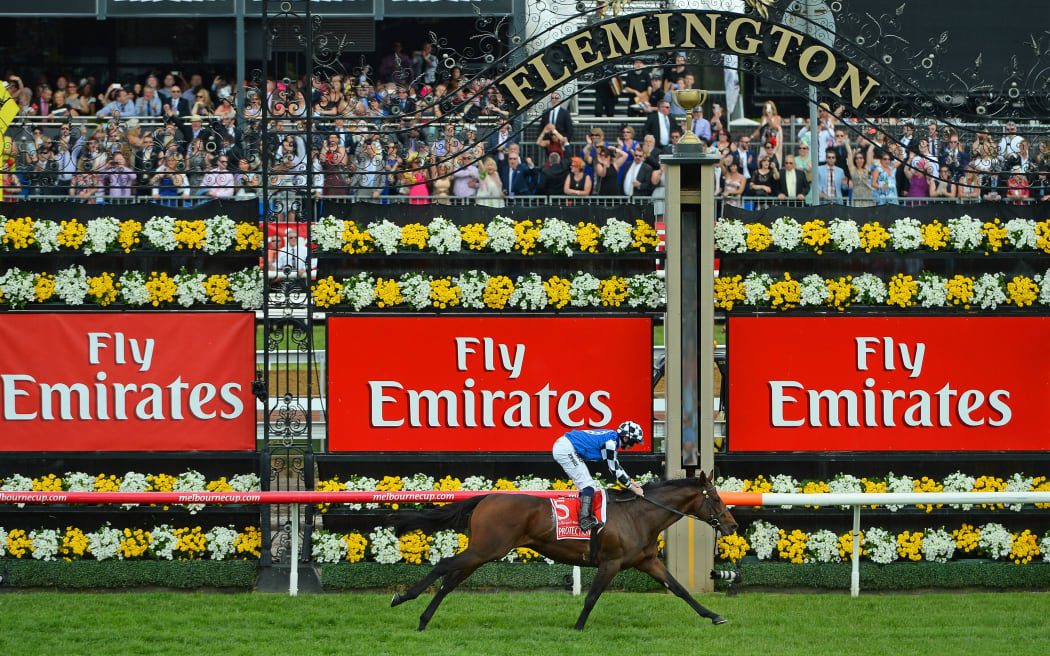Melbourne Cup winner Protectionist
