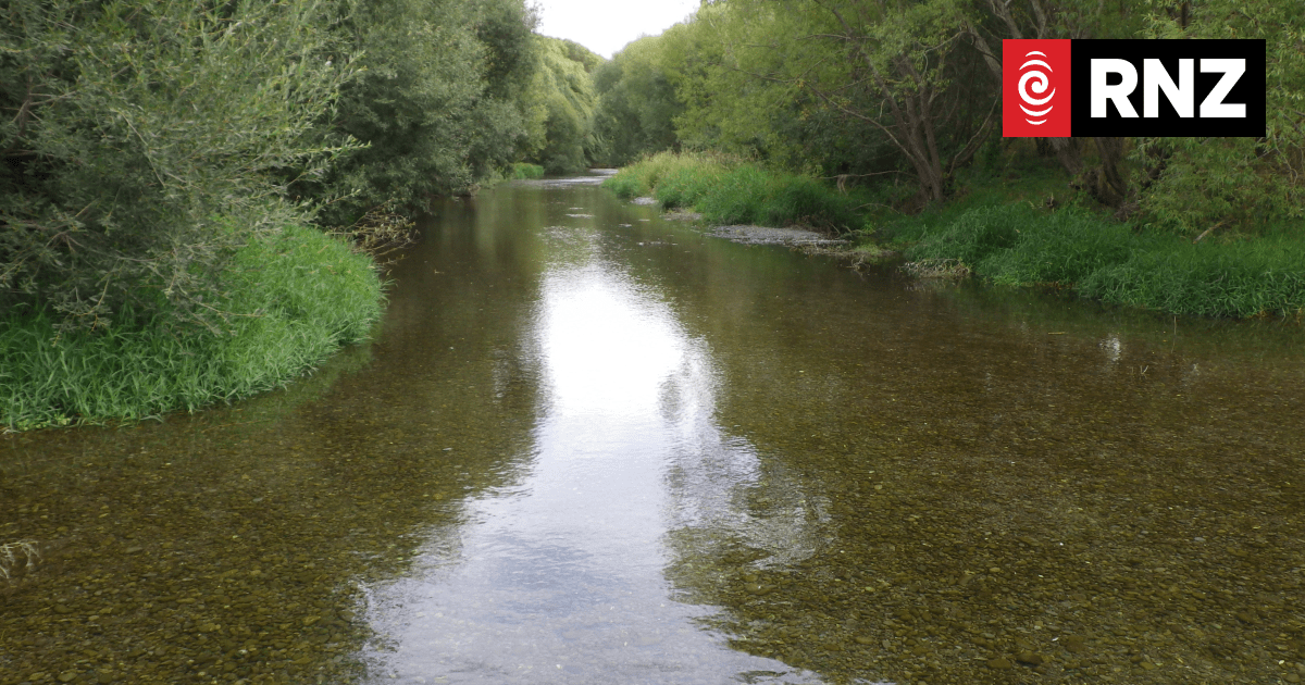 Algal bloom on Waikirikiri-Selwyn River prompts warning from health officials - Vimarsana News