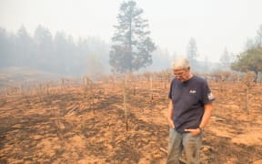 Property owner Chris Schrobilgen stands in his neighbor's burned grape vineyard in Calistoga, California.