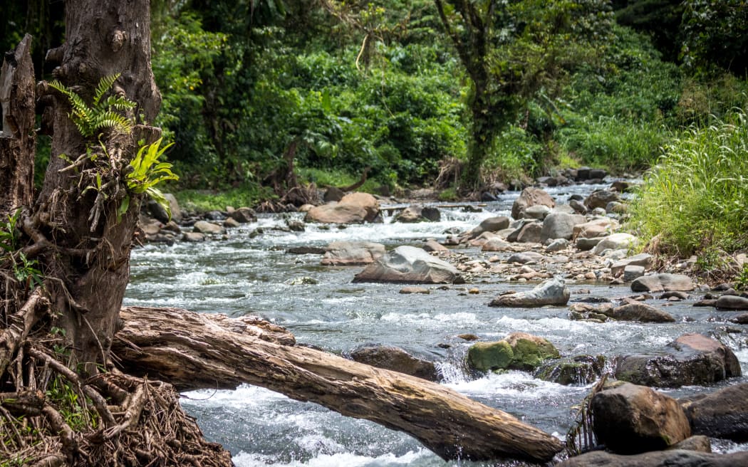 Papua Yeni Gine'deki Bougainville Adası'ndaki altın madenciliği ile ünlü sakin bir nehir, Papua Yeni Gine