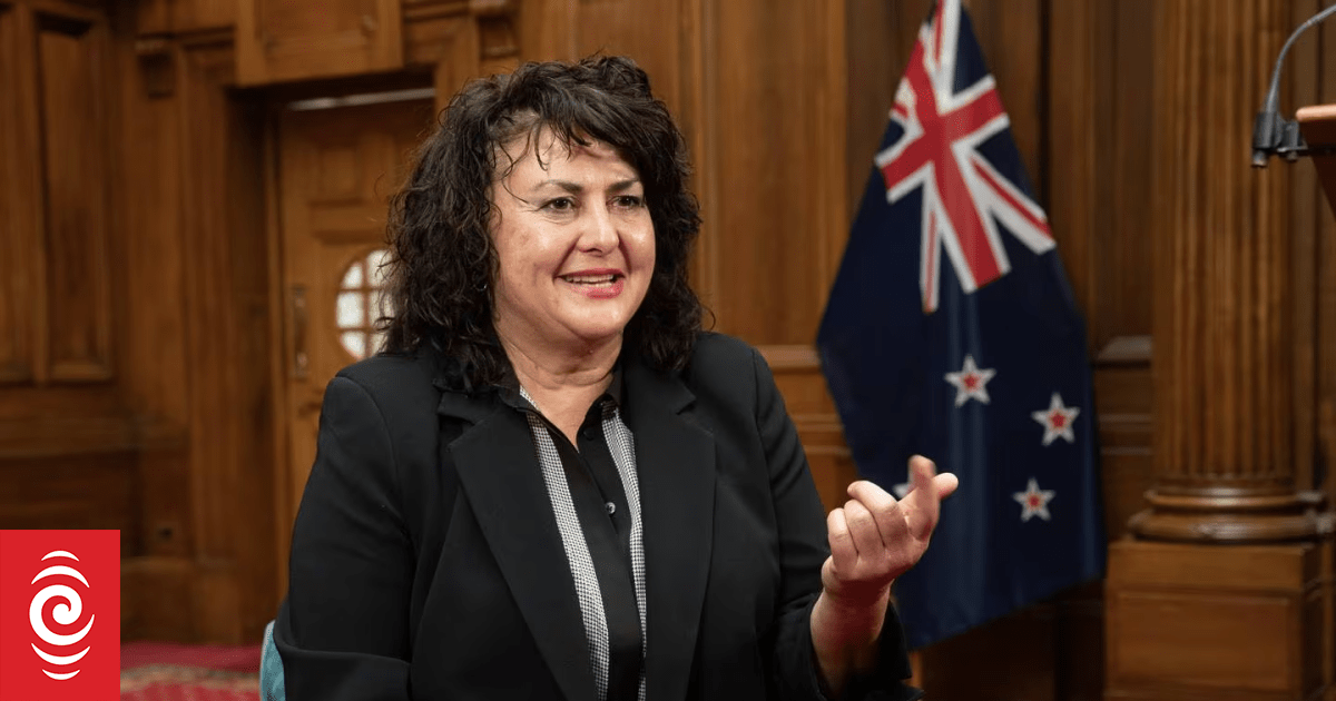 NZ First MPs' maiden speeches highlight family and service - Vimarsana News
