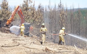 Firefighters tackle fire in Moutere North Forest in north-eastern sector of fire zone near Nelson.