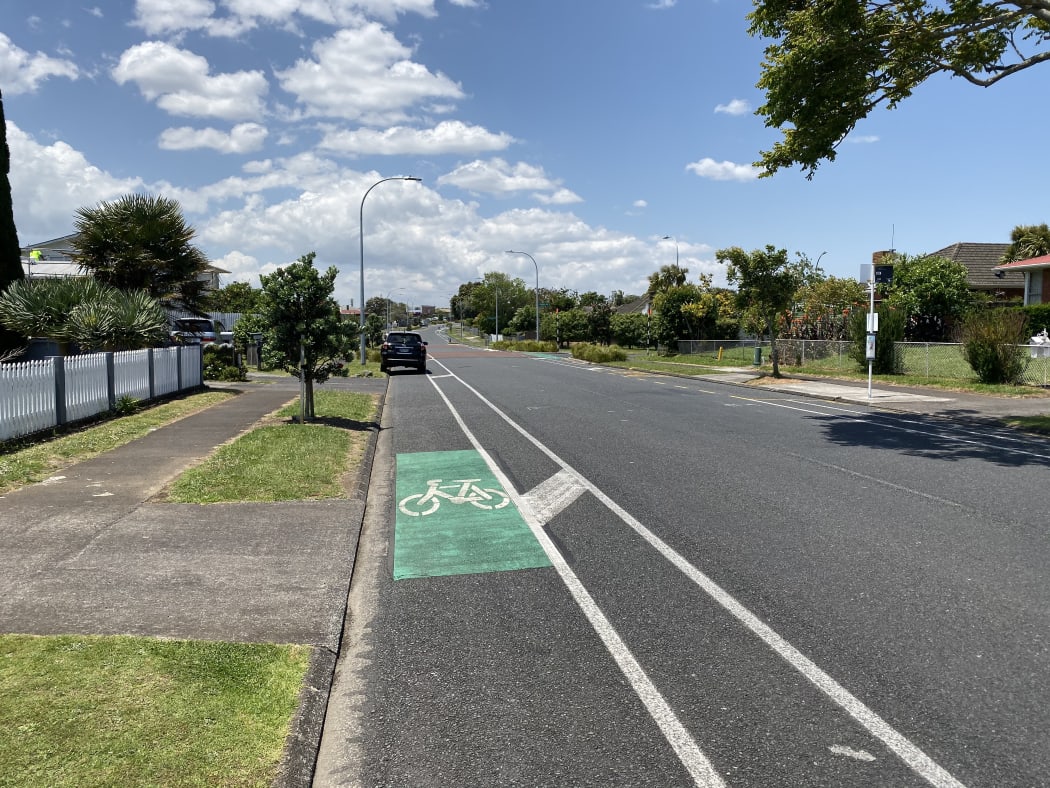 A visit to Māngere's Friesian Drive showed recently-constructed cycle ways being used for off-street parking.