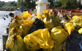 Bags of waste and oil collected at Maungatapu, near Tauranga.