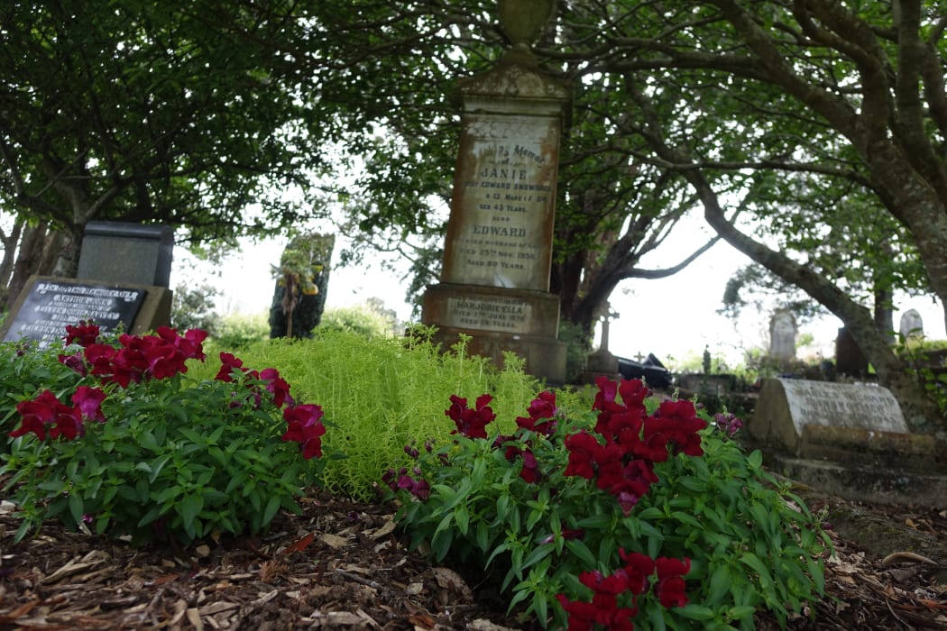 Beautiful flowers are in bloom at Te Henui Cemetery thanks to the efforts of volunteers who turned the place around from being drab and overgrown.