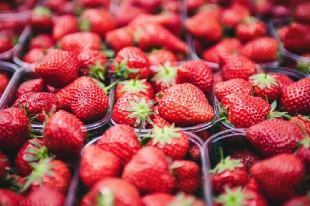 Microbes have been found to make strawberries more tasty