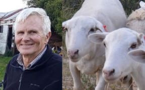 Canterbury vet and Dorper sheep breeder Jim McPhee