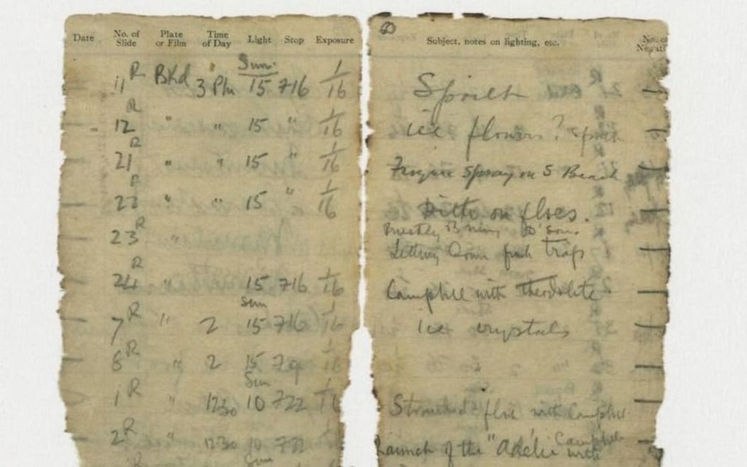 Pages from Levick's notebook.