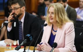 Chief Executive of Oranga Tamariki - Ministry for Children Grainne Moss speaks to the Social Services and Community Committee at Parliament
