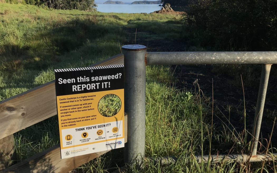 A new sign of the times at Omākiwi Cove, Bay of Islands.
