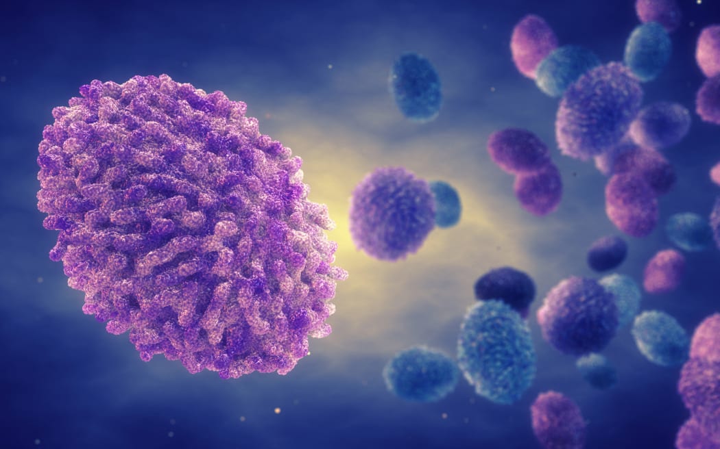 Monkeypox virus particle, illustration. Monkeypox is a zoonotic virus of the poxviridae family that causes monkeypox, a pox-like disease. At the heart of the monkeypox virus is a core nucleoprotein containing the DNA (deoxyribonucleic acid) genome. It is surrounded by an outer envelope covered with superficial tubules. Found near the rainforests of Central and West Africa, the virus causes disease in humans and monkeys, but its natural hosts are rodents. Human-to-human transmission is possible. In humans, it causes fever, swollen glands, and a rash of fluid-filled blisters.