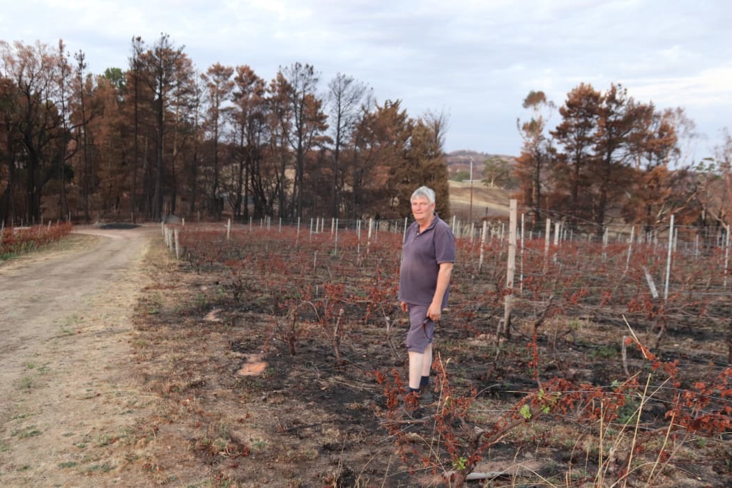 James Tilbrook in his Adelaide Hills vineyard soon after fire swept though on December 20 2019
