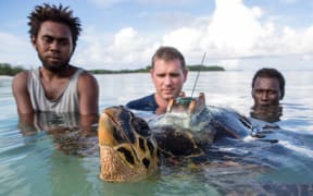 Conservation officers and conservancy scientists release a tagged hawksbill turtle.