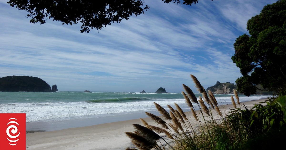 Cyclone-hit regions banking on a busy summer as Kiwis hit the road - Vimarsana News
