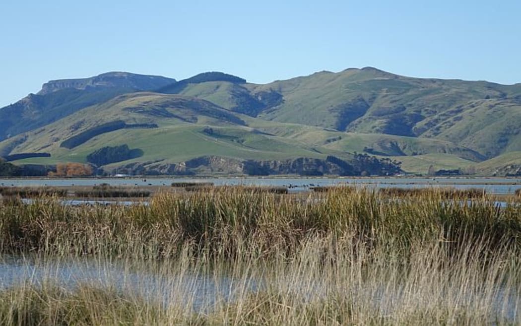 Pasture covered hills, lowland lake and rushes
