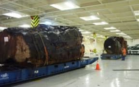 The big logs shipped to Shanghai from Auckland, which MPI says it has no records for.