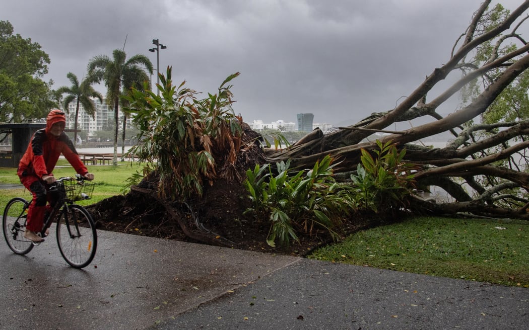 Un hombre pasa en bicicleta junto a un árbol caído mientras el clima severo del ciclón Jasper afecta a Cairns, en el extremo norte de Queensland, el 13 de diciembre de 2023. El ciclón tropical Jasper azotó el noreste de Australia el 13 de diciembre, dejando miles de personas heridas en comunidades costeras sin electricidad y preparándose para posibles 