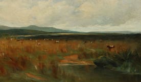 Landscapes of New Zealand | A Gallery from Arts on Sunday | RNZ National