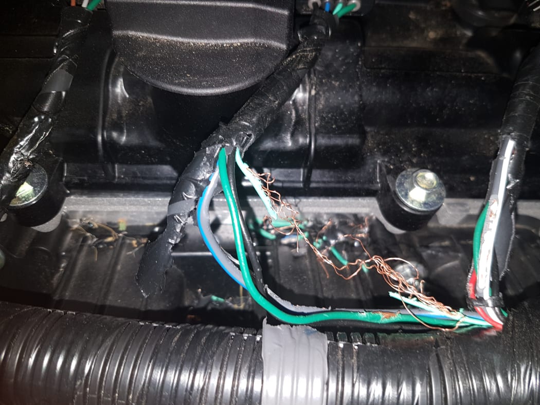 Rats! Vermin cause wiring woes for drivers RNZ News