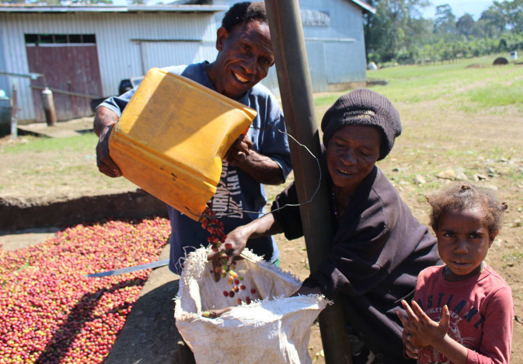 A family at the Anego plantation, outside Goroka town, Eastern Highlands Province preparing  coffee cherries for fermentation.
