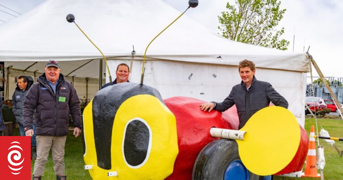 Bees make a buzz at Mid-Canterbury show - Vimarsana News