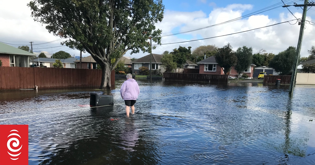 Christchurch residents don't feel safe in parts of Avondale after
