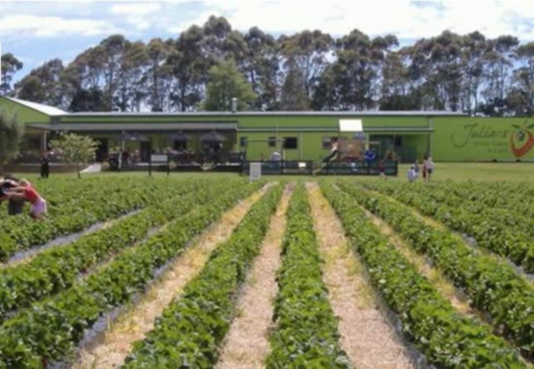 Arrest in Whakatane berry farm shooting RNZ News
