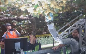 Robotic kiwifruit harvesting in 2016