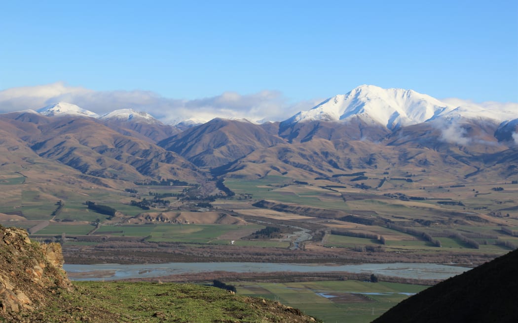 Sheep farmer struggles to control huge hungry hoppers RNZ