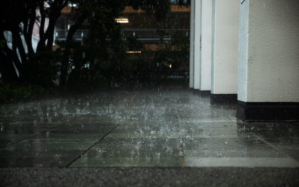 惠灵顿市中心下雨