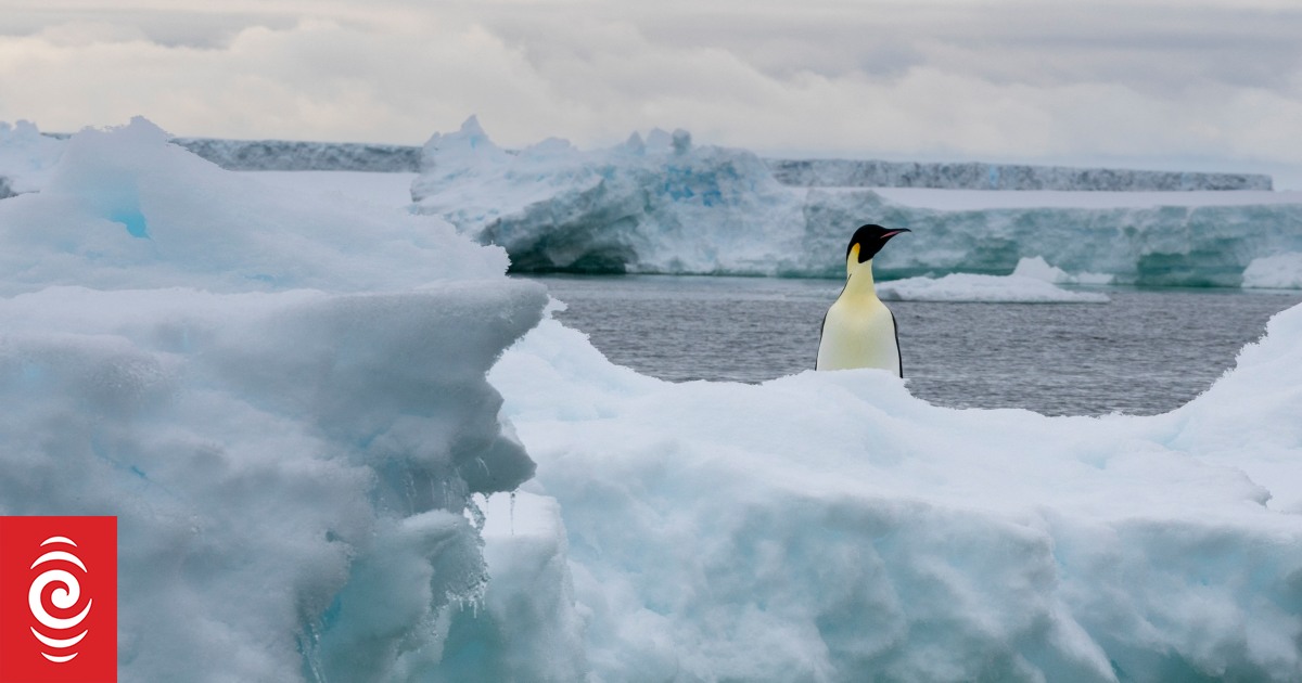 Antarctica sea-ice hits new record low - Vimarsana News