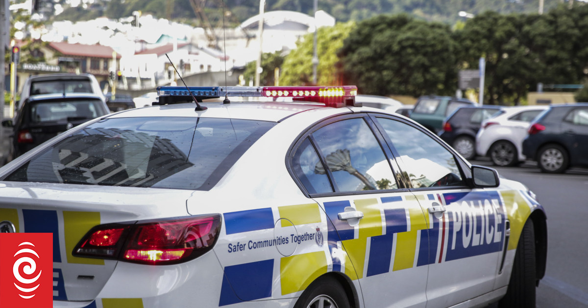 Four arrested after fleeing through Auckland and Hamilton – police