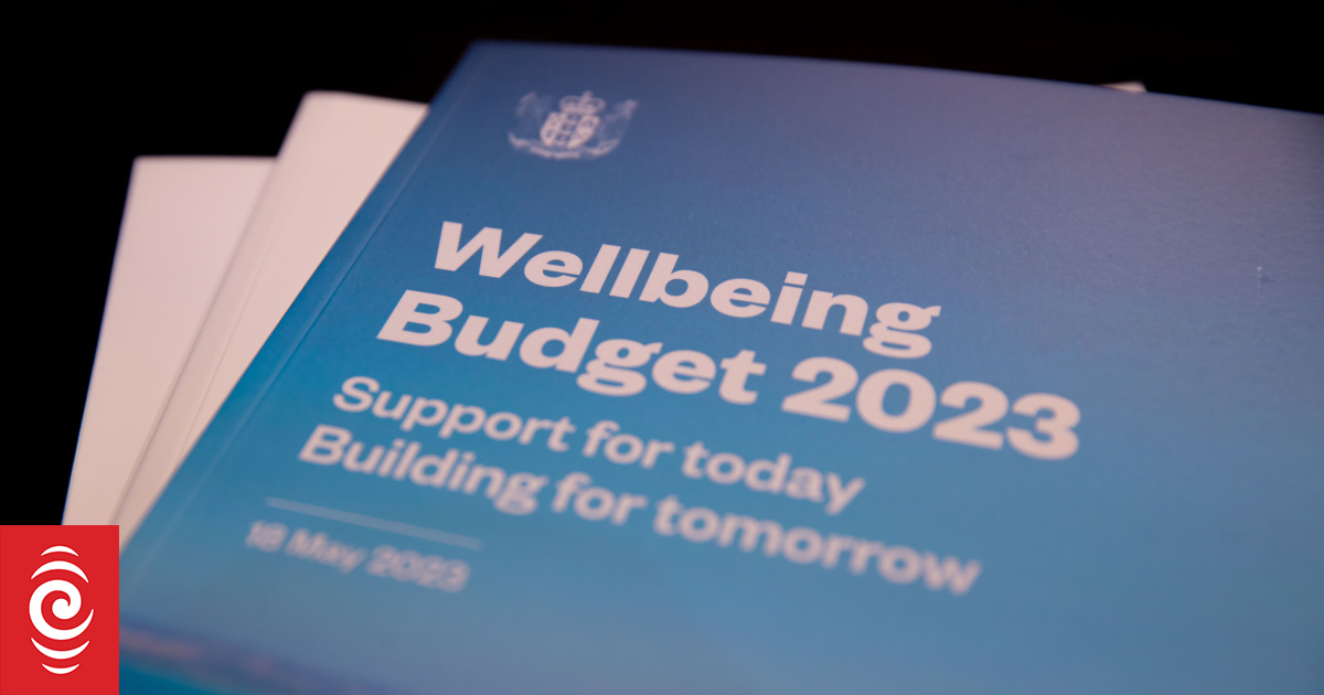 'No Frills' Budget delivers something but not everything for people with disabilities - Vimarsana News