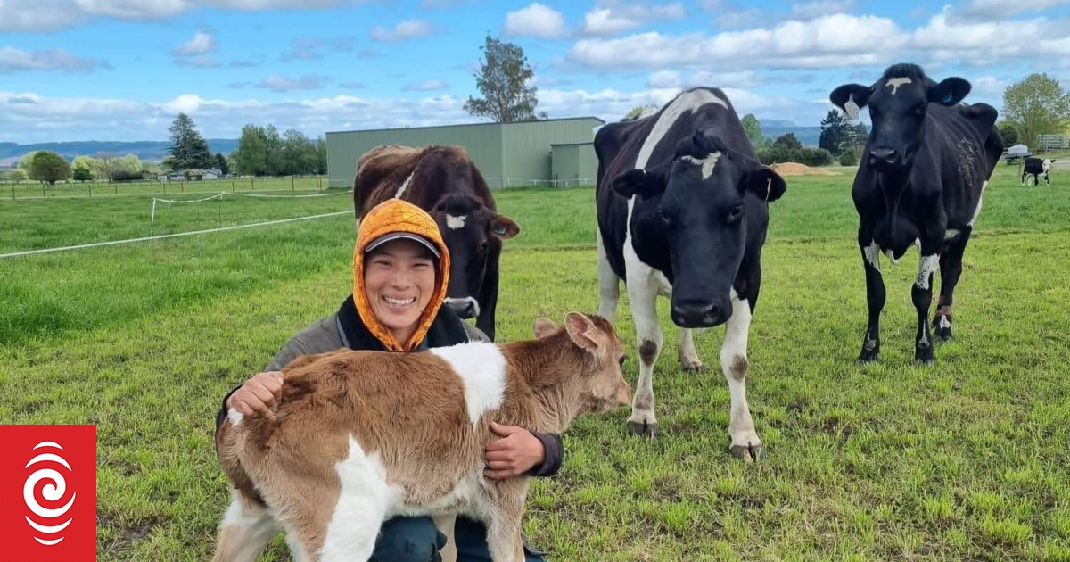 How one woman's 'childhood dream' led her to a Kiwi dairy farm - Vimarsana News